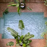 Riad O