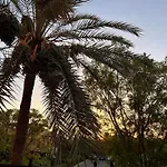 Palm View
