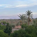 Palm View