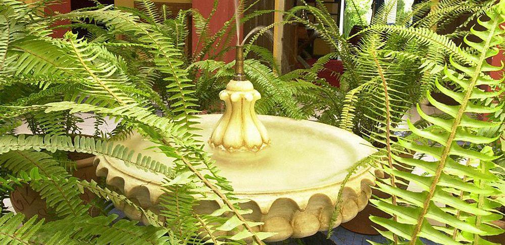 Dar Naima Riad 3*