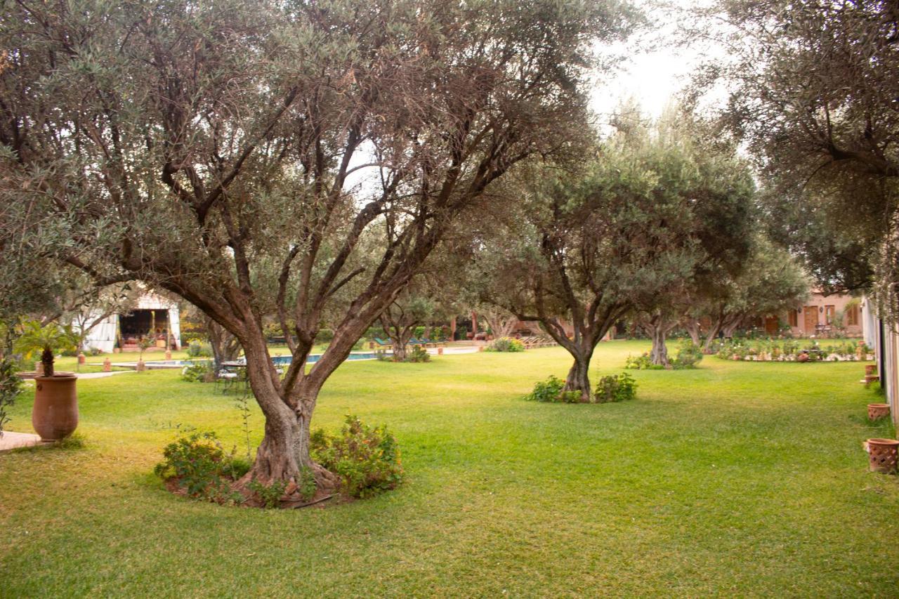 Greenlife Marrakech Casa de hóspedes Marraquexe