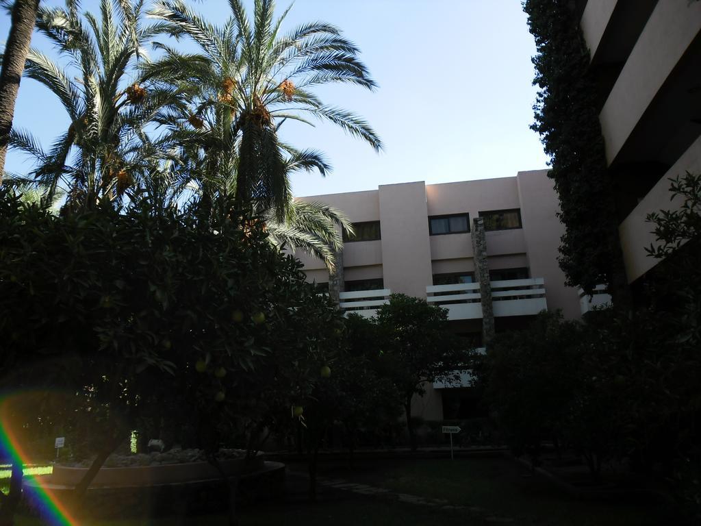 Hotel Amine