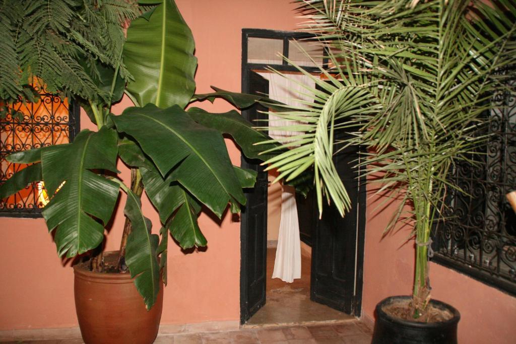Riad Des Droles Marrakesh