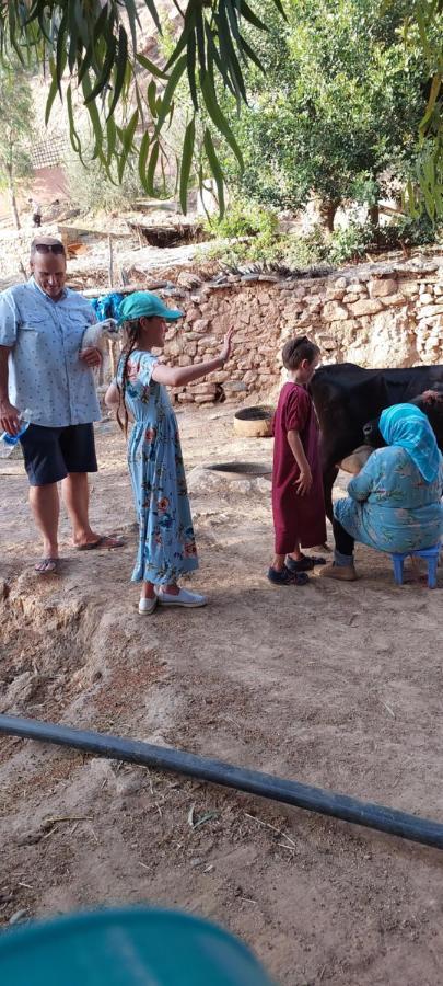 Saida Berber House Homestay