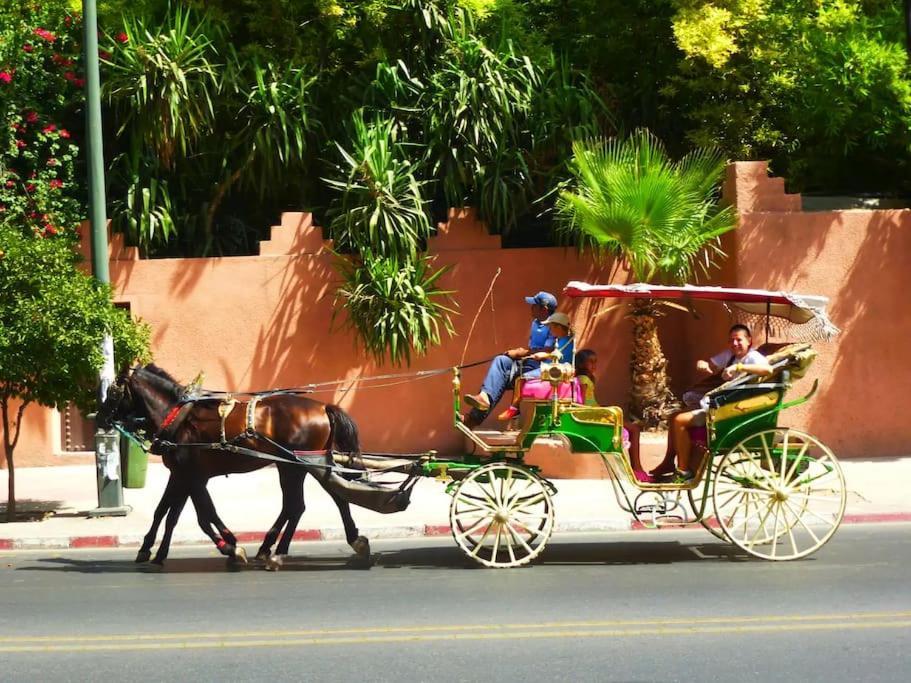 Palm Splendor - Marrakech *