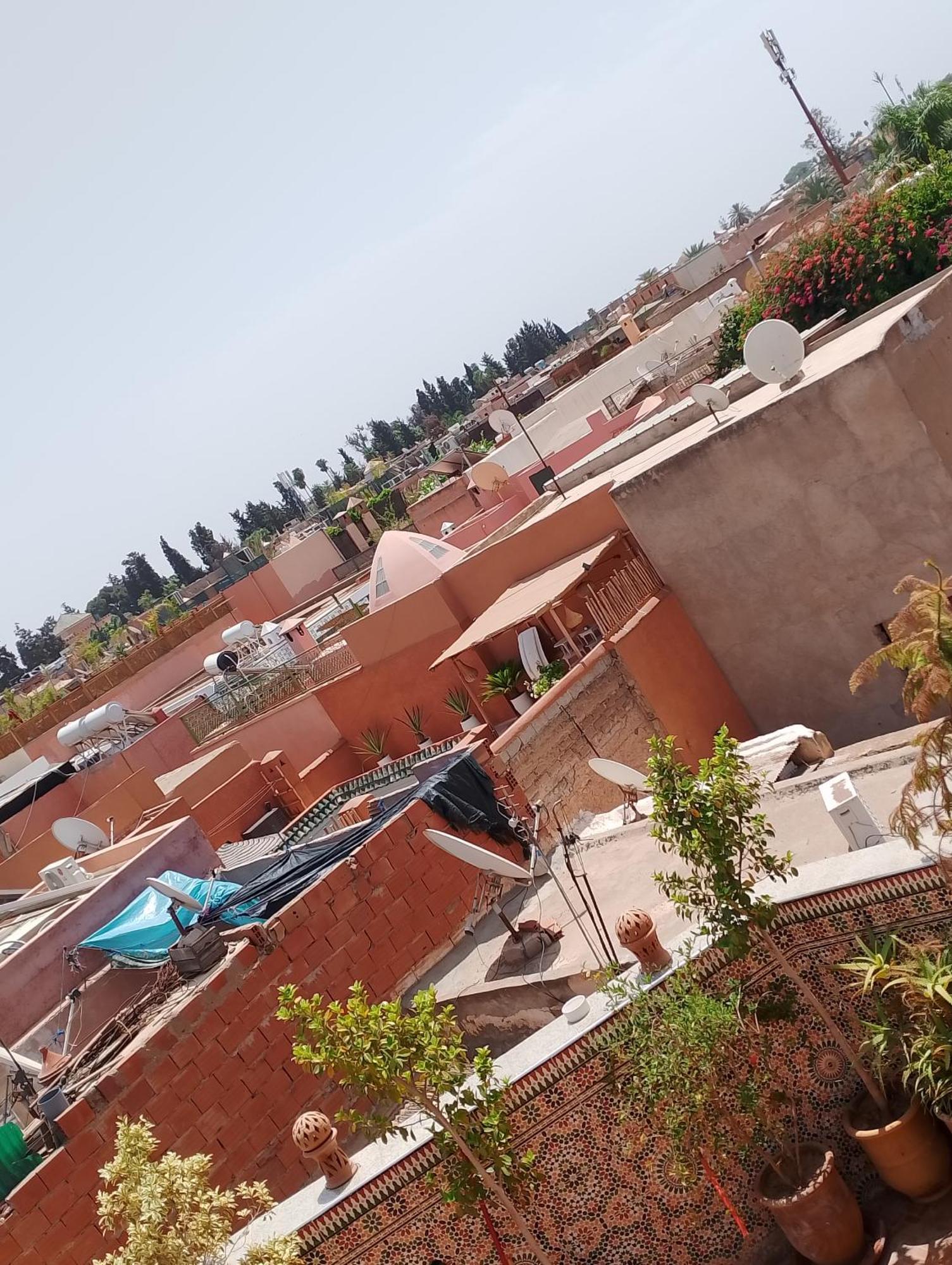 Falafel Rooftop House Marrakech Riad *