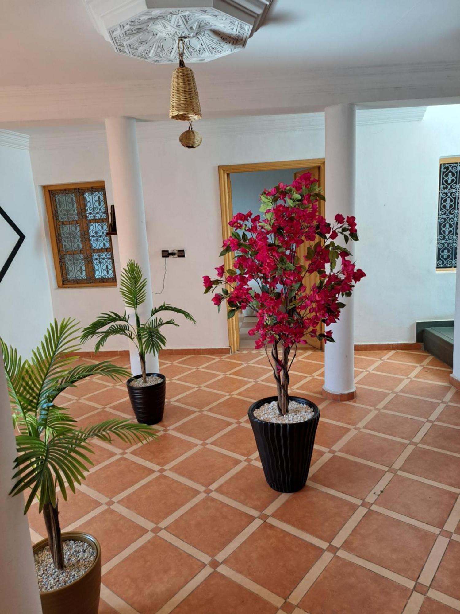 Falafel Rooftop House Marrakech Riad
