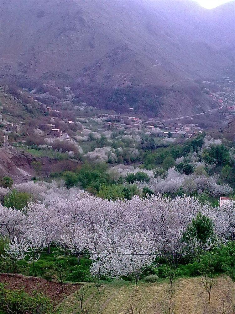Dar Tighoula 3*