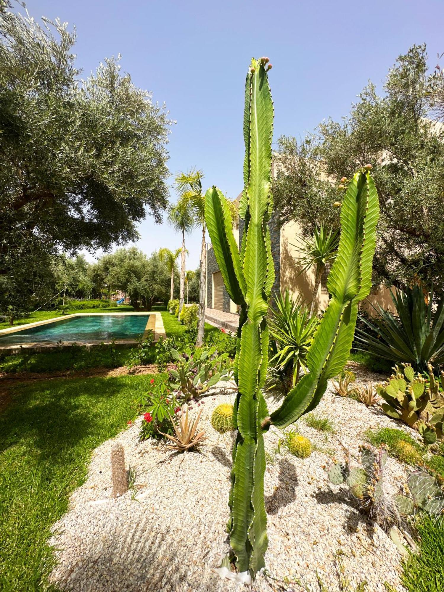 Kamelia & Piscine & Hammam Villa