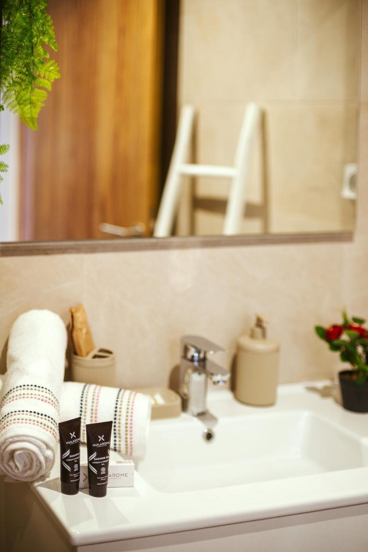 Livia Cosy - Clim, Wifi, Jardin A 10min De L'aeroport Apartment