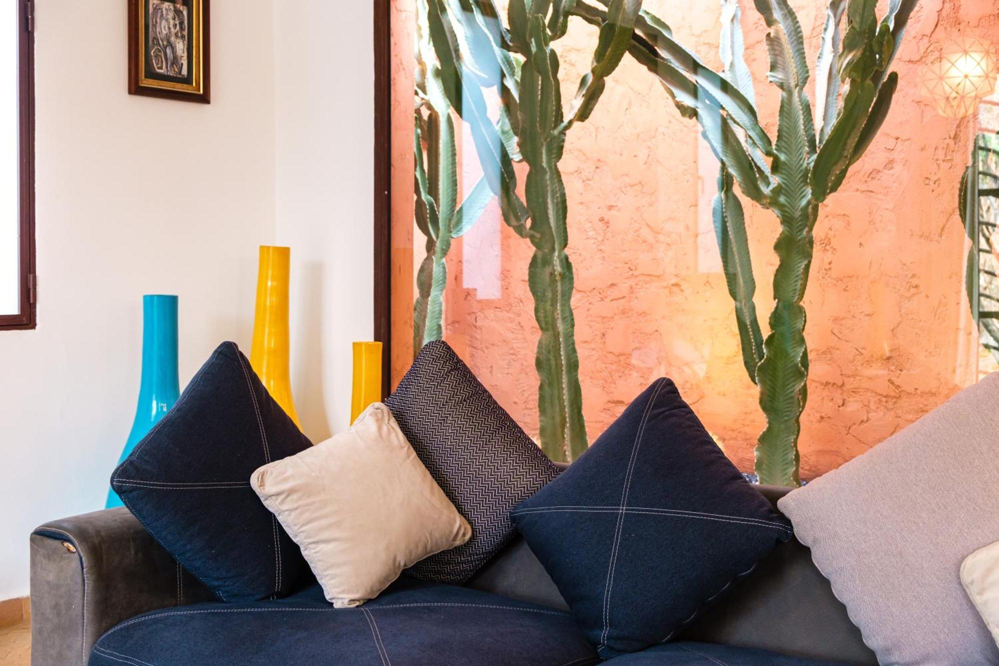 Olive Marrakesh