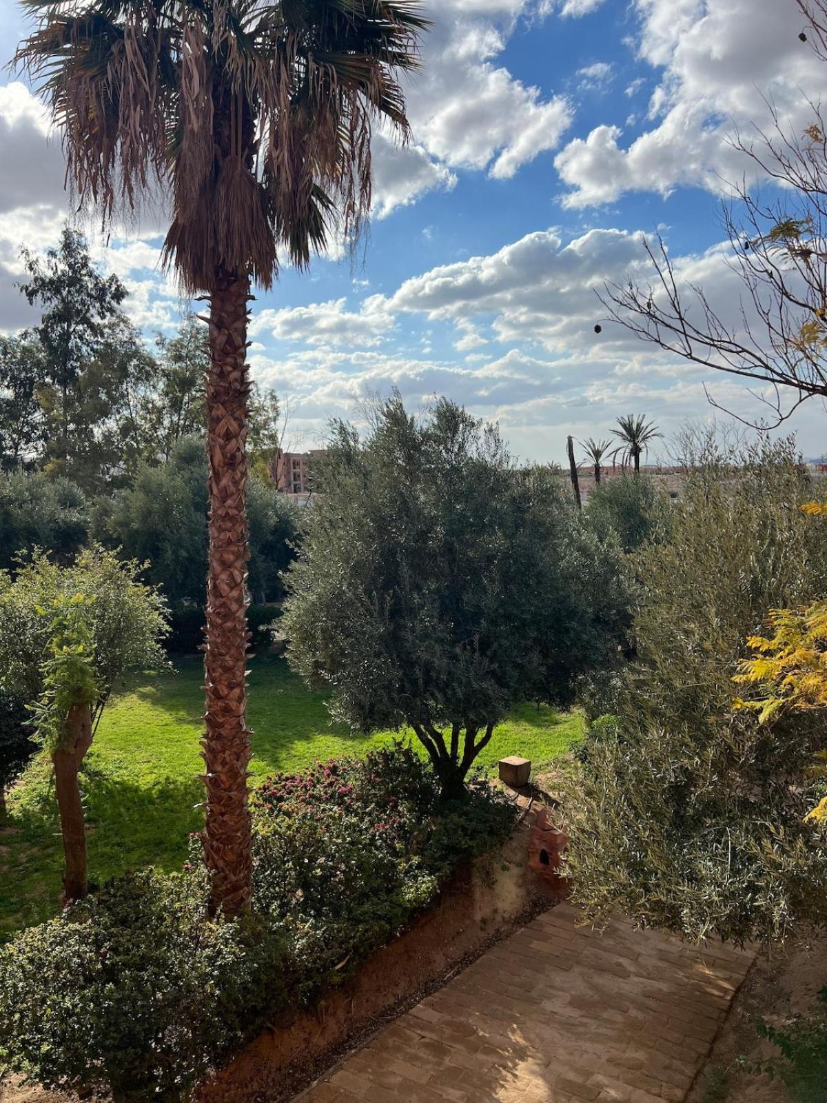 Apartment Palm Spot Marrakesh