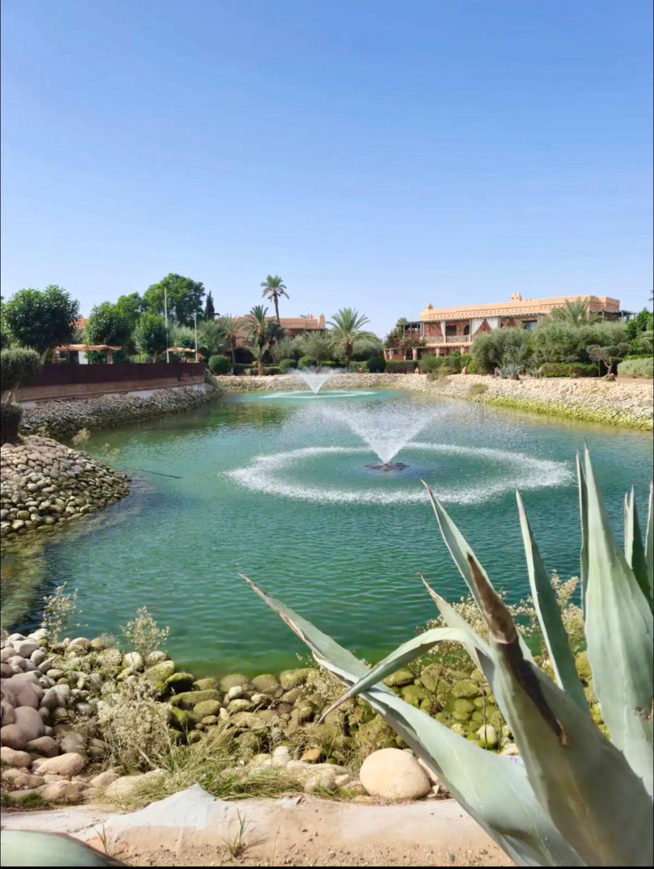 Apartment Palm Spot Marrakesh