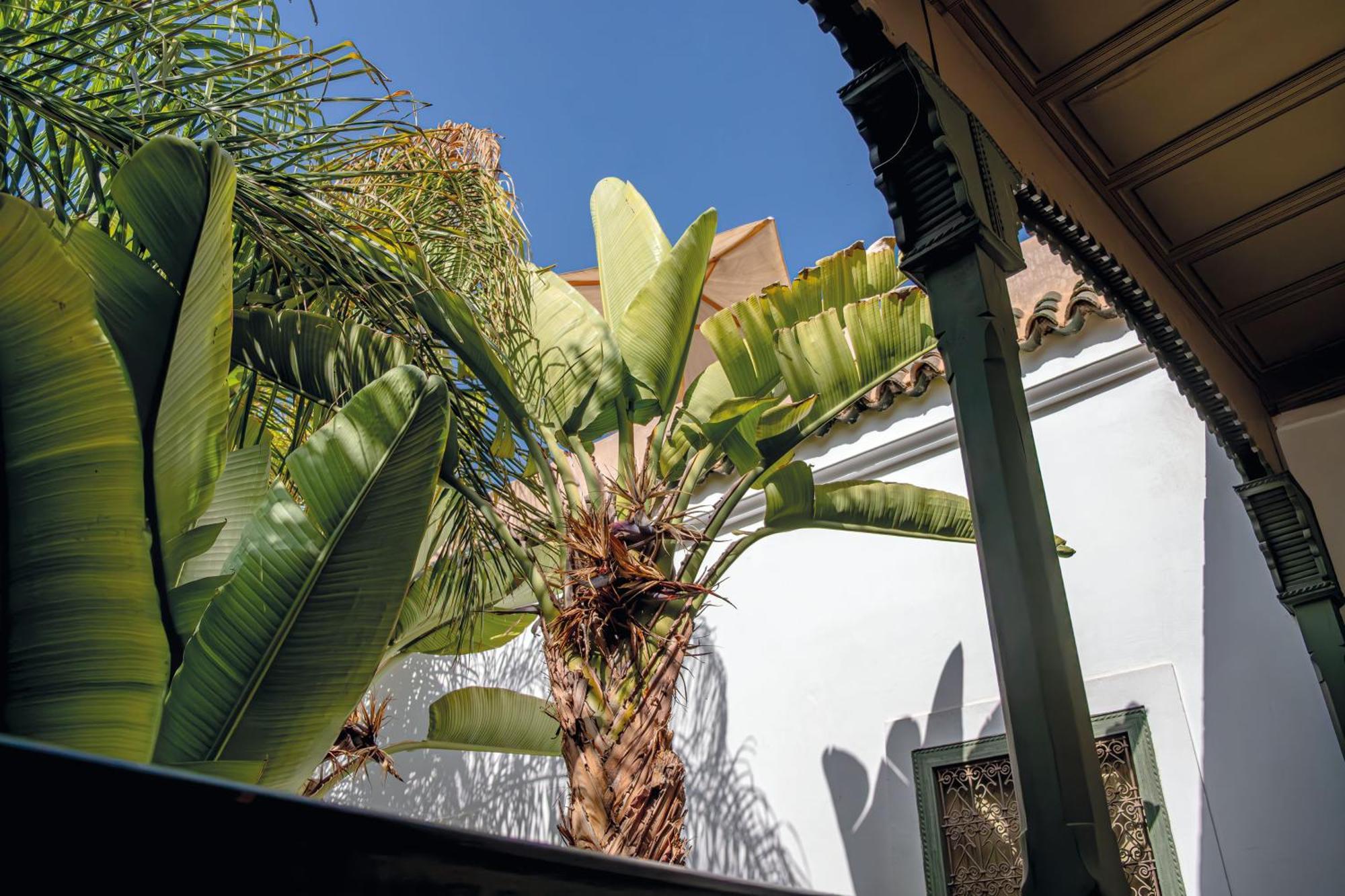 Riad Jaaneman 4*
