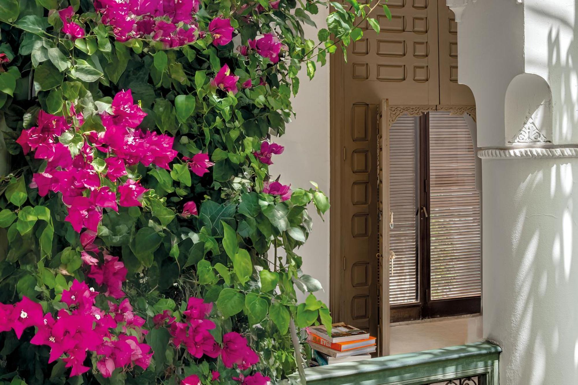 Jaaneman Riad
