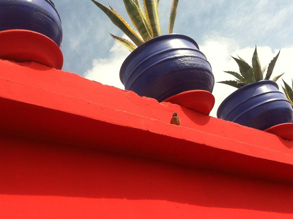 Riad Kalinka Lotus Marrakesh