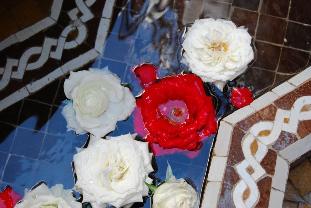 Riad Viva Marrakesh