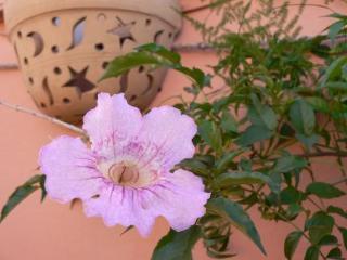 Apartment Nerja Marrakesh