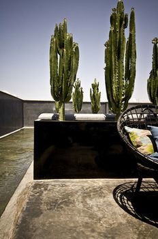 Riad First Riad