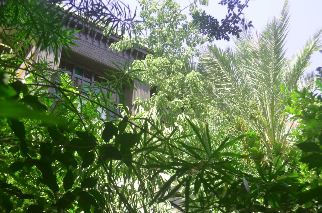 Riad Dar Doukkala & Marrakesh