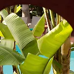 Les Jardins De La Médina