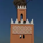Araf House