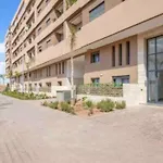 Appartement Pistana
