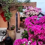 Riad Nirvana