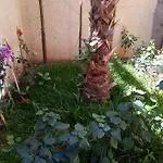 Casa Faraj