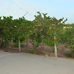 Dar Marjana