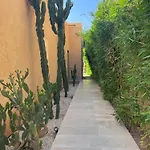 Luxury Palm Villa