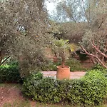 Riad Appart F3 Exceptionnel A Gueliz - A 5 Min De La Gare - Piscine, Wi-Fi Et Parking Au Coeur De Marrakech