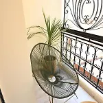 Suite Ivoire - Elegance A Gueliz