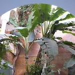 Riad Habib