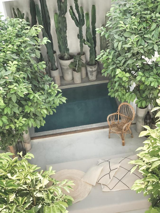 Bed & Breakfast Dar-k Marrakesh