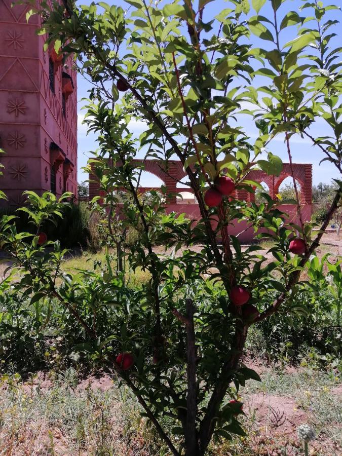 Estadia no rancho Darga Rouge *