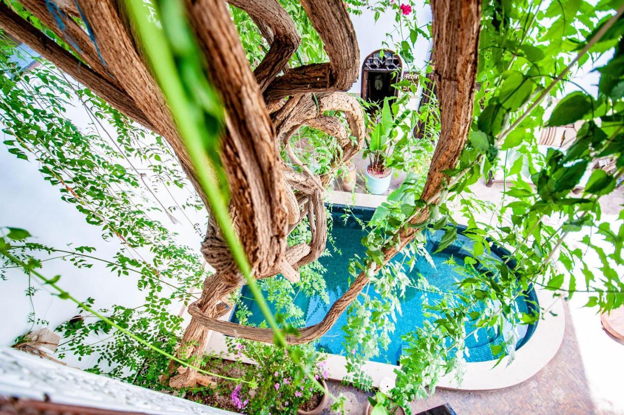 Riad & Dar El Aila