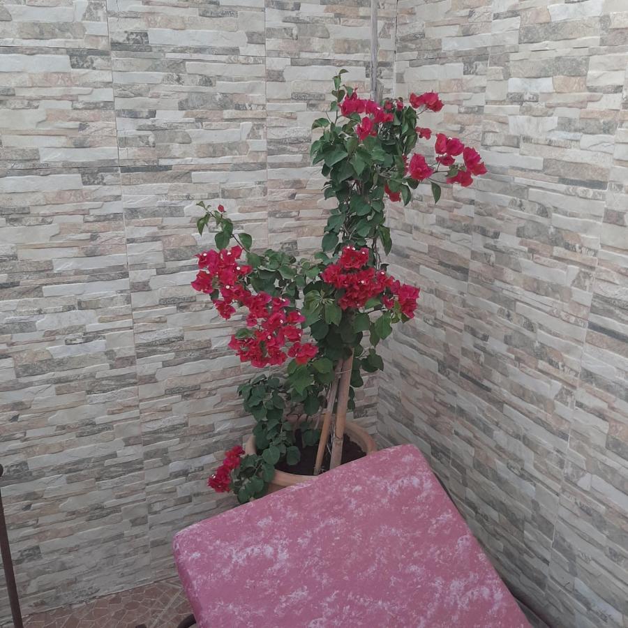 Bab Almadina Apartamento