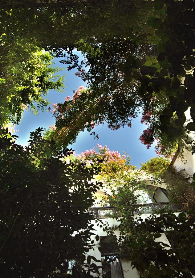 Riad Lyla Marrakesh
