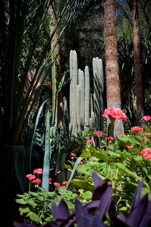 Dar Ayniwen Garden & Bird Zoo Marrakesh