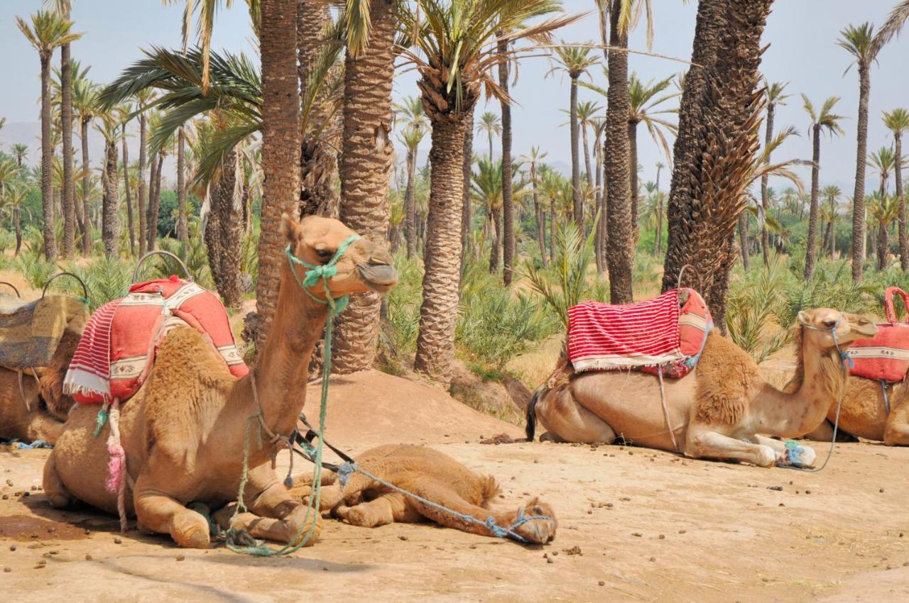 Riad Dar Salam Palm - 2024 Travellers' Choice 2*