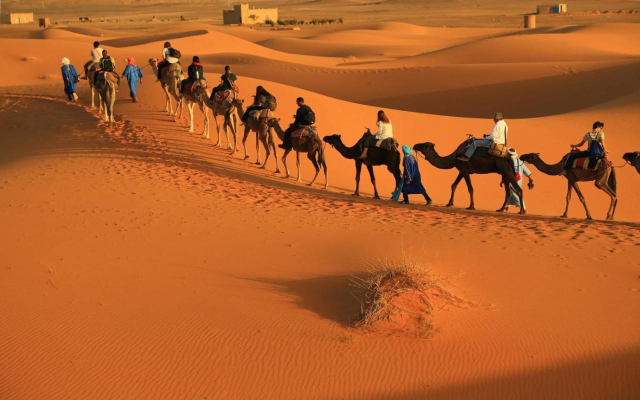 Dar Salam Palm - 2024 Travellers' Choice
