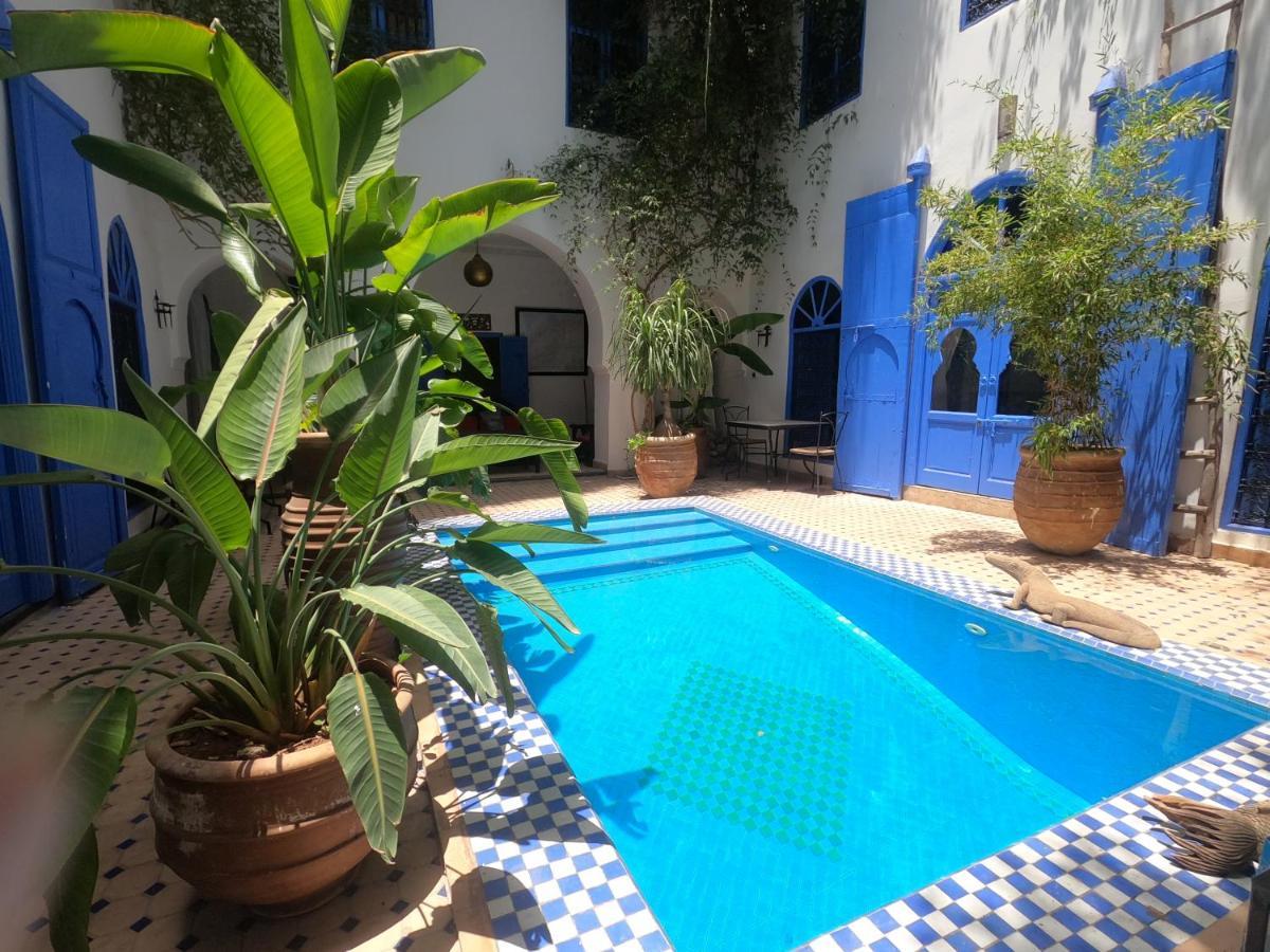 Chameleon Riad Marrakesh