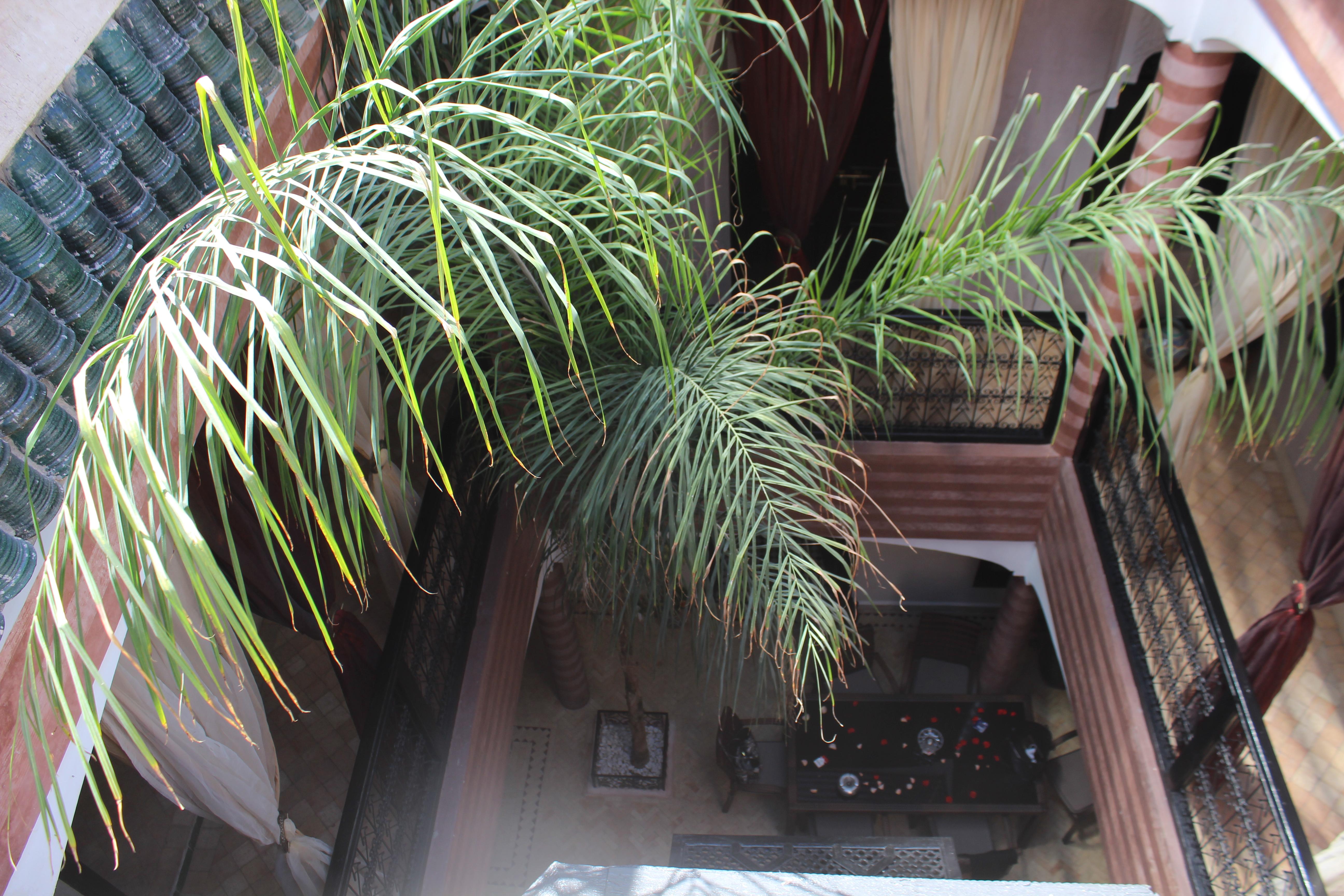 Dar Ftouma Marrakesh
