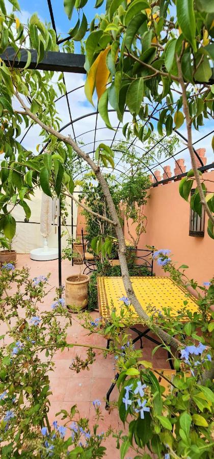 Abelia - 2024 Traveler's Choice Award Riad Marrakesh