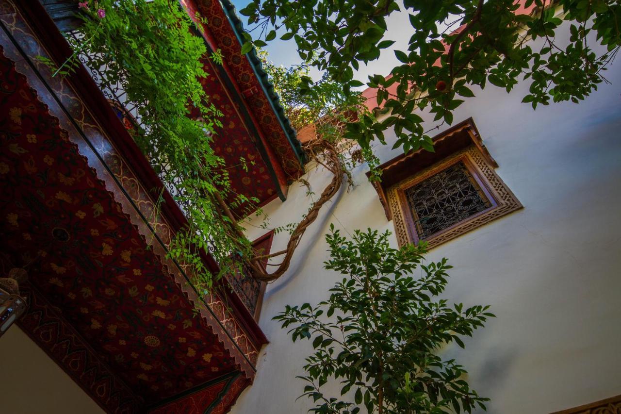 Dombaraka Riad