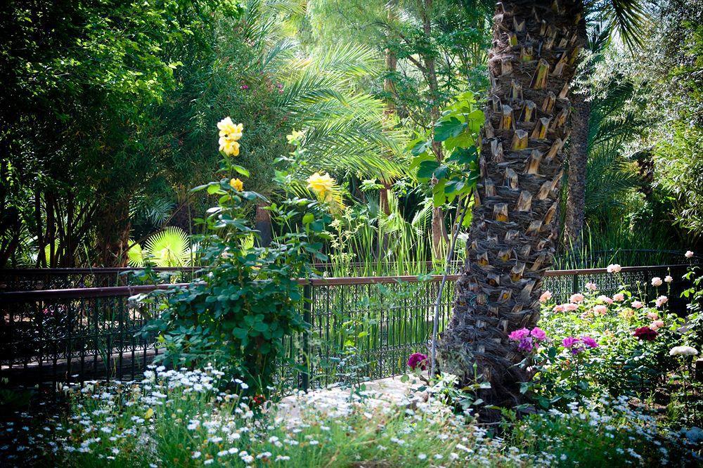 Dar Ayniwen Garden & Bird Zoo 5*