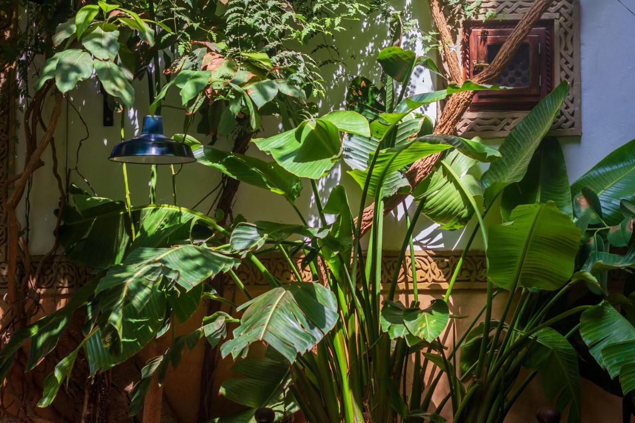 Dombaraka 3* Marrakesh