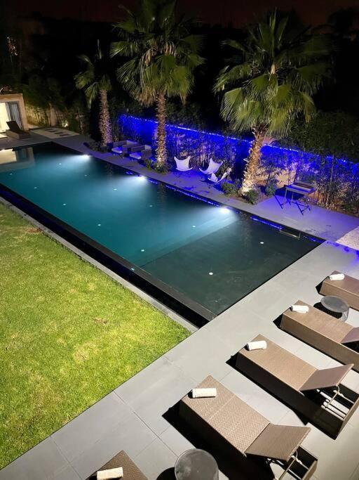 Luxury Palm