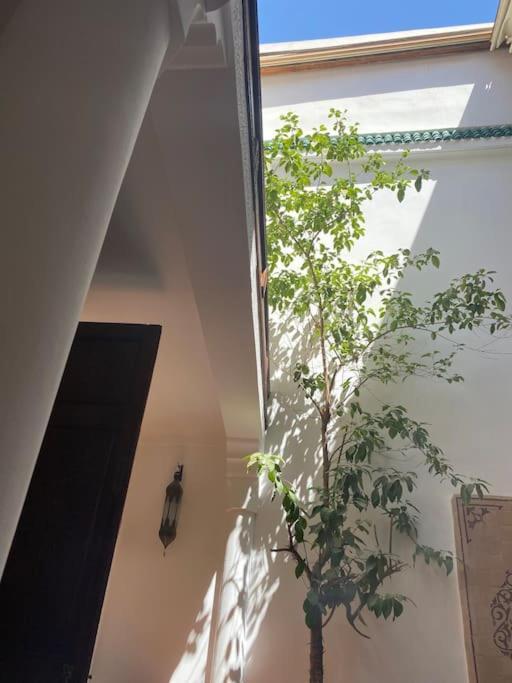 Villa Alghani